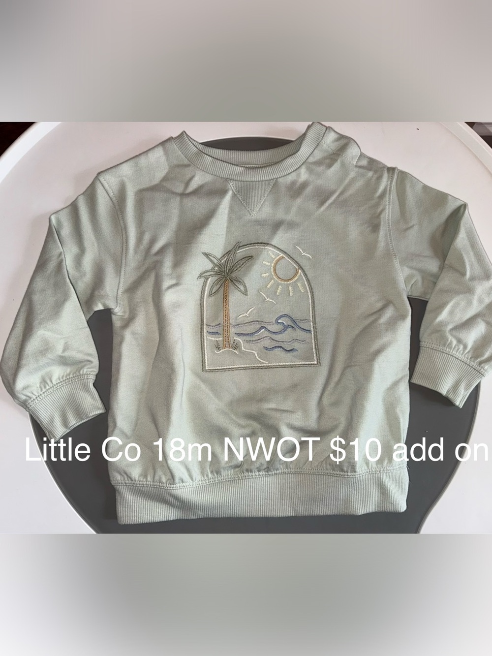 Kids Light Mint Green Palm-Embroidered Sweatshirt